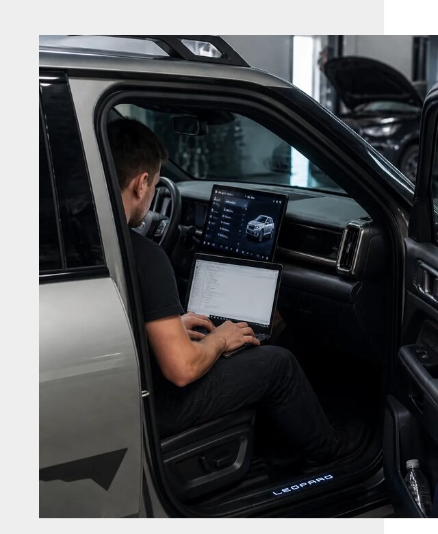 Русификация BYD Leopard 3 в Лиски по цене от 21773 р. | ФастМобиль-Лск